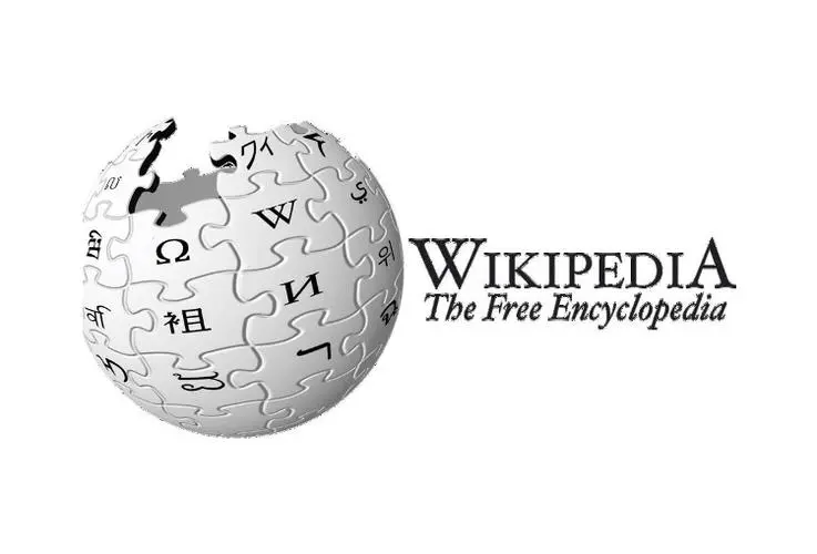 代做维基百科