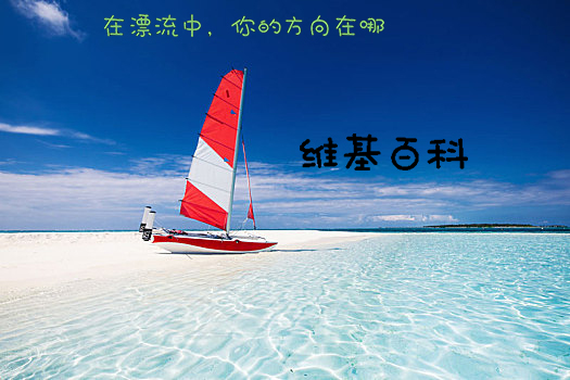 维基百科：你的知识助手，无所不能