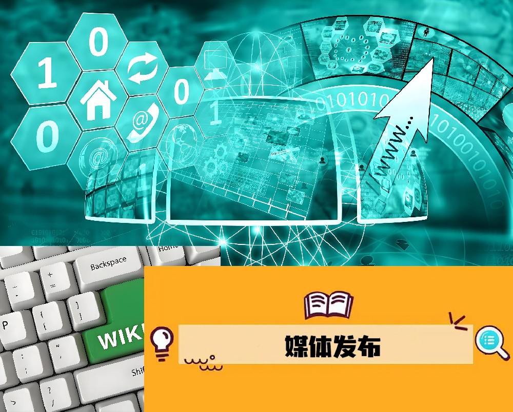 海外媒体平台的选择与评估